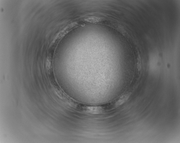 X0000051910371200507082035