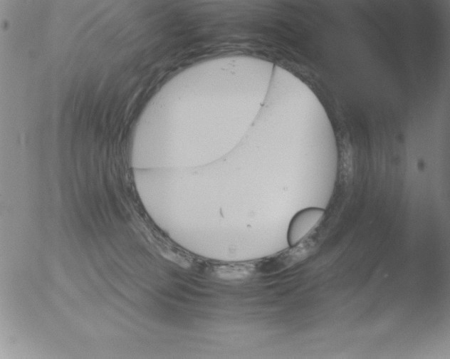 X0000051910373200507082035