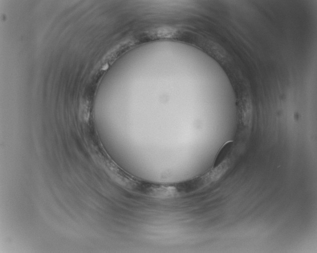 X0000051910374200507082036