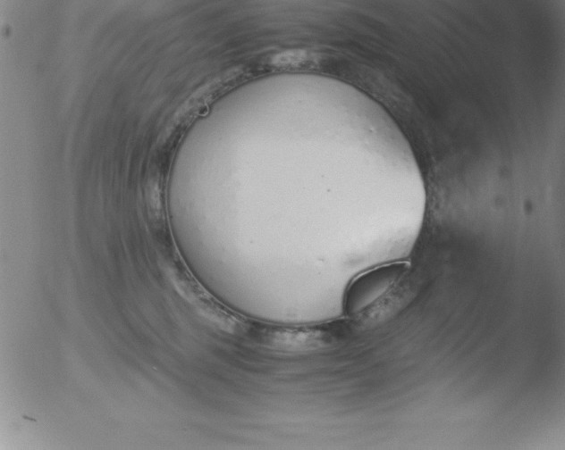 X0000051910375200507082036