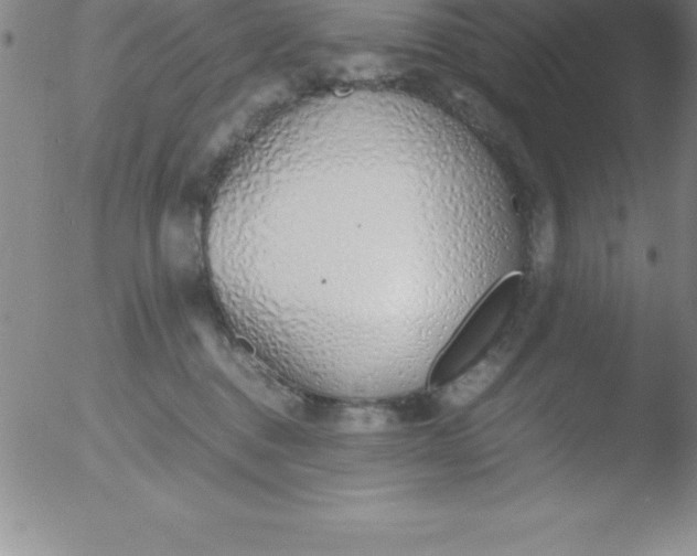 X0000051910376200507082036