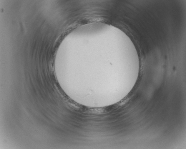 X0000051910377200507082036