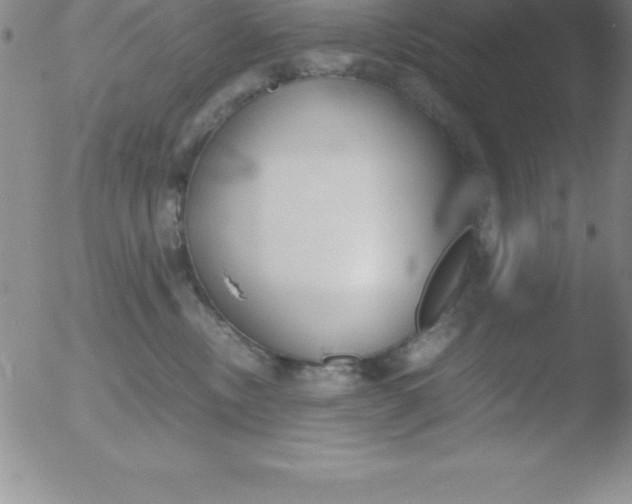 X0000051910378200507082036