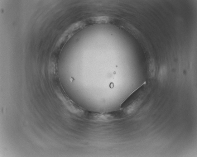 X0000051910379200507082036