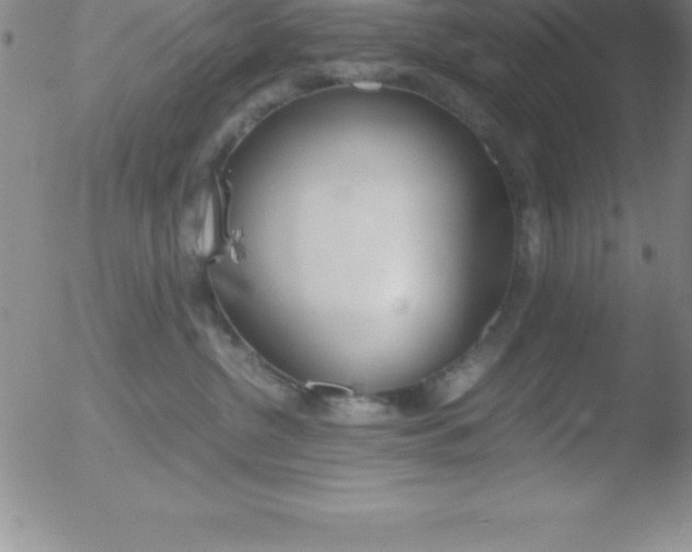 X0000051910380200507082036