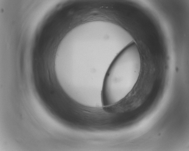 X0000051910382200507082036