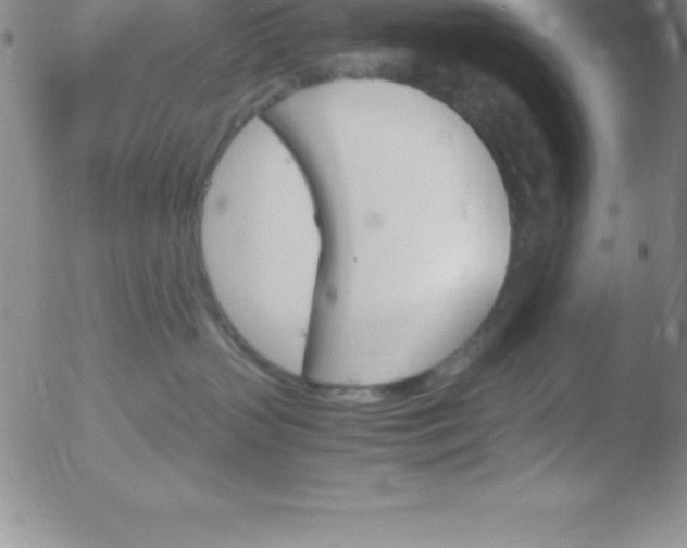 X0000051910383200507082036