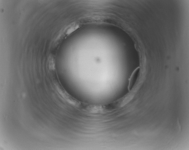 X0000051910384200507082036