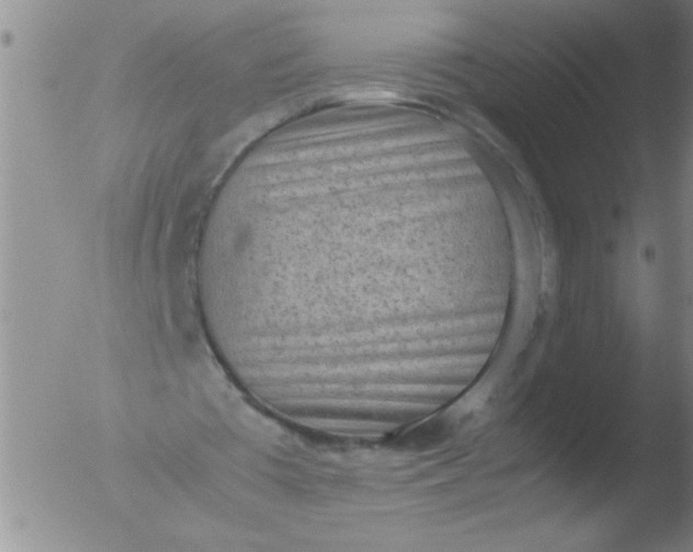 X0000051910385200507082035