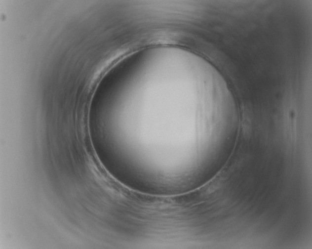 X0000051910386200507082035