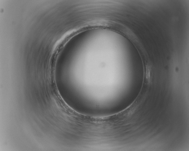 X0000051910388200507082035