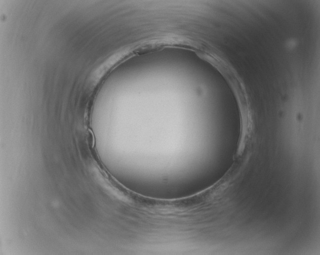 X0000051910389200507082035