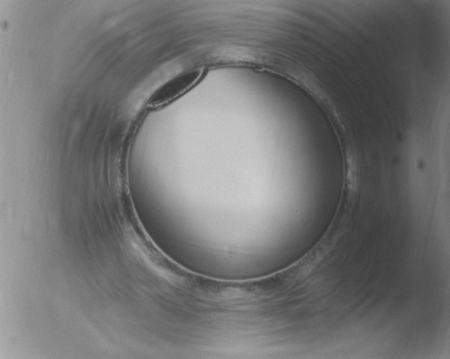 X0000051910390200507082035