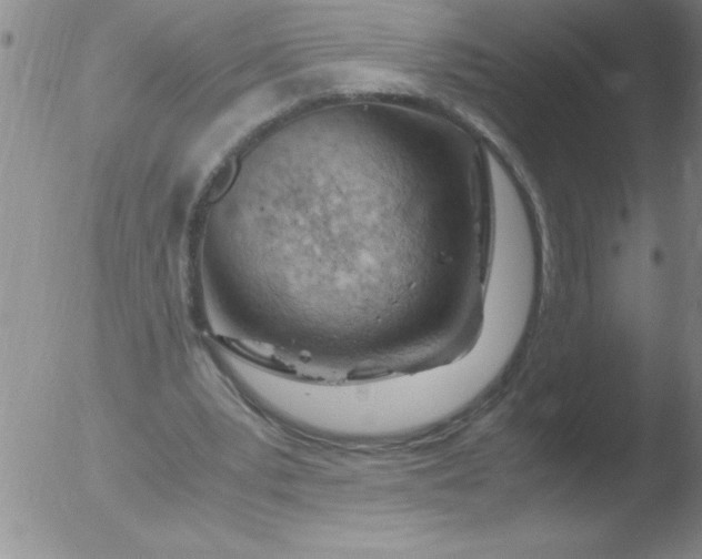 X0000051910391200507082035