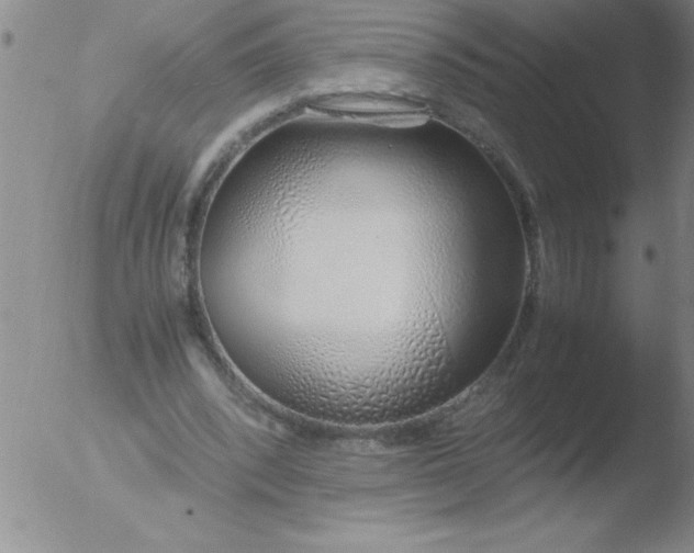 X0000051910392200507082035