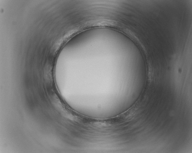 X0000051910394200507082035