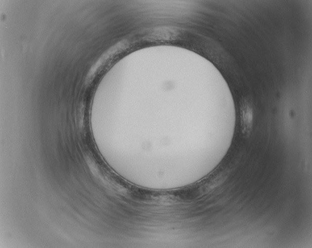 X0000051910396200507082035