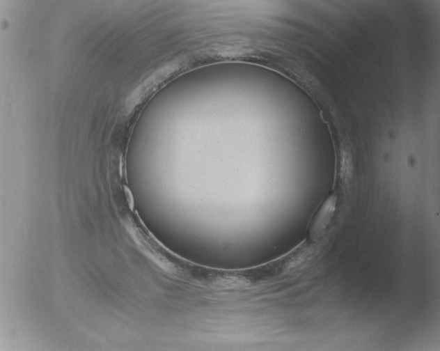 X0000051910397200507082035