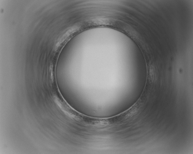 X0000051910398200507082035