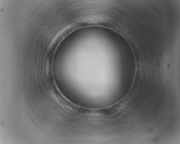 X0000051910400200507082035