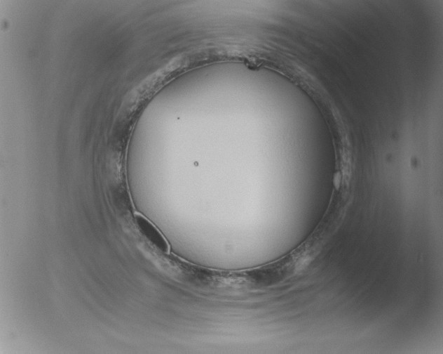 X0000051910401200507082035