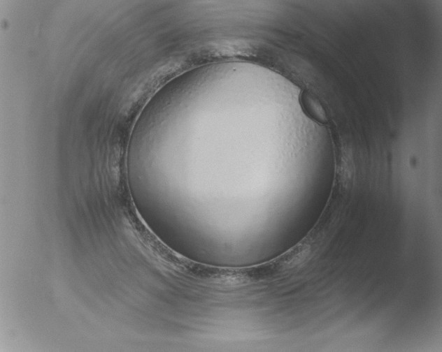 X0000051910402200507082035