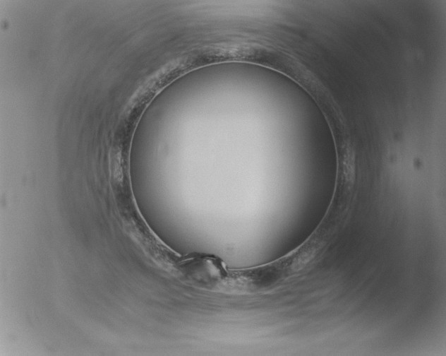 X0000051910403200507082035