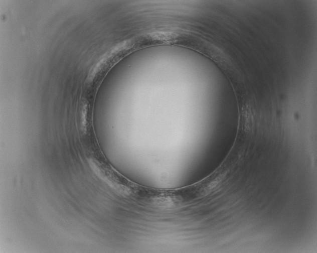 X0000051910404200507082035