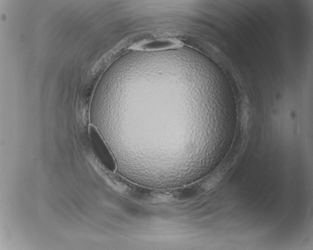 X0000051910405200507082035