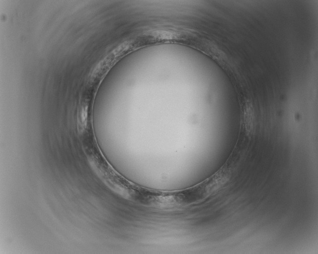 X0000051910406200507082035