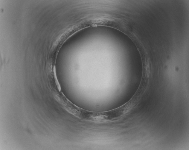 X0000051910407200507082035