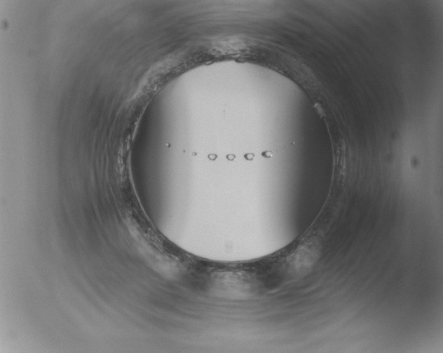 X0000051910408200507082034