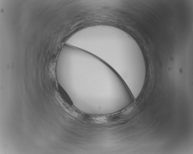 X0000051910409200507082034