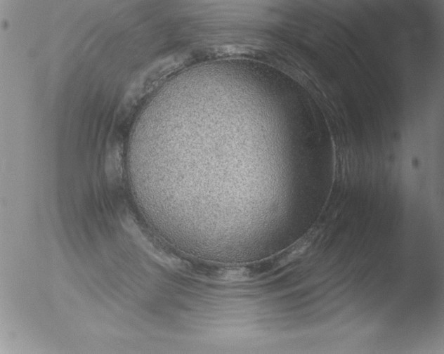 X0000051910410200507082034