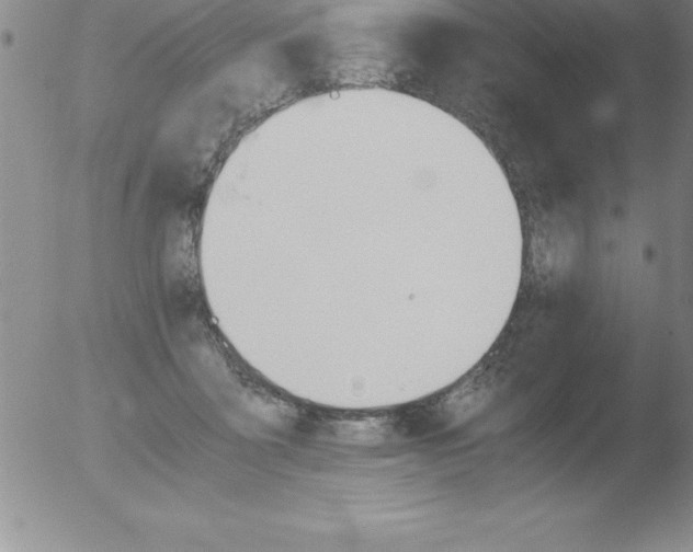 X0000051910411200507082034