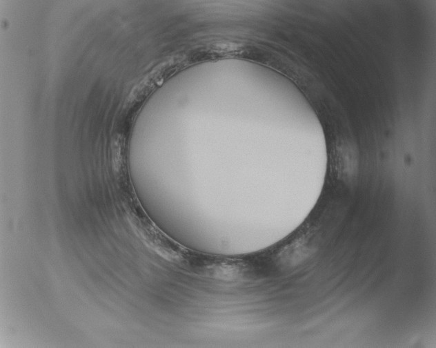 X0000051910412200507082034