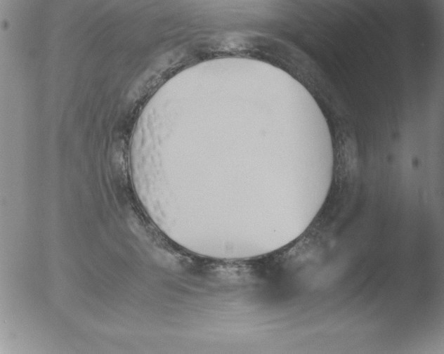 X0000051910415200507082034