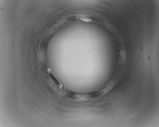 X0000051910417200507082034