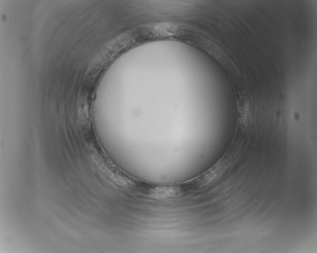 X0000051910418200507082034