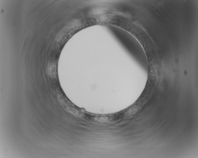 X0000051910419200507082034