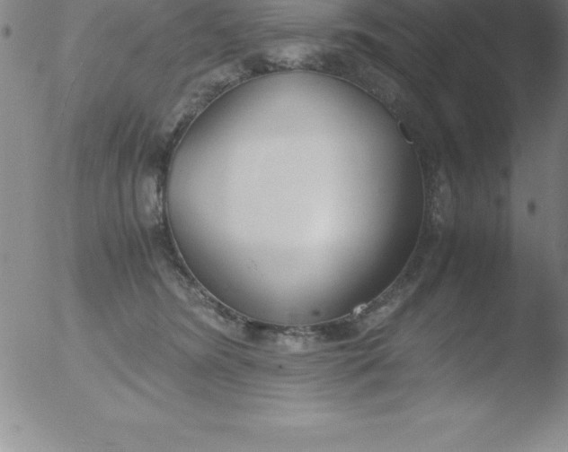 X0000051910420200507082034