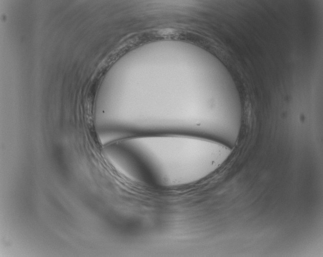 X0000051910421200507082034