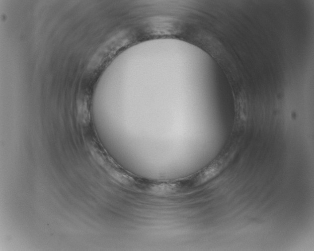 X0000051910422200507082034