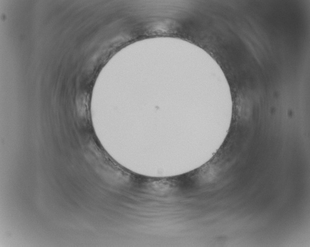 X0000051910423200507082034