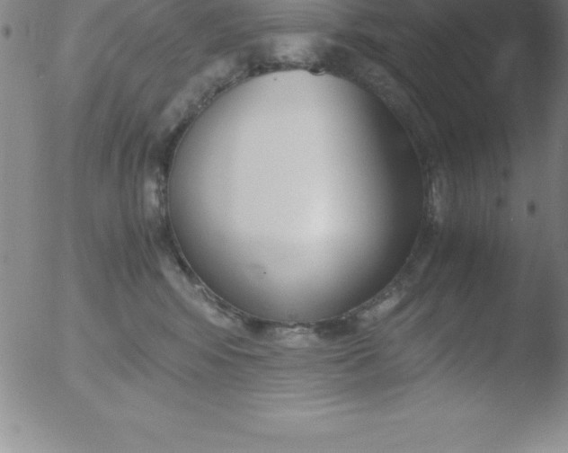 X0000051910424200507082034