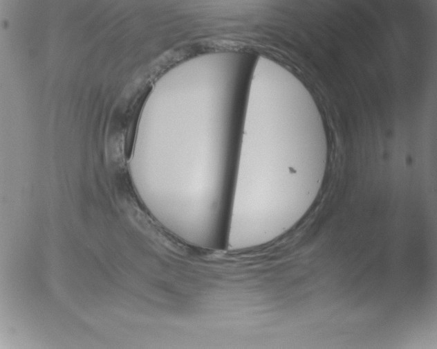 X0000051910425200507082034