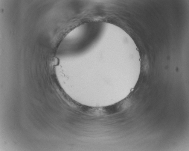 X0000051910427200507082034