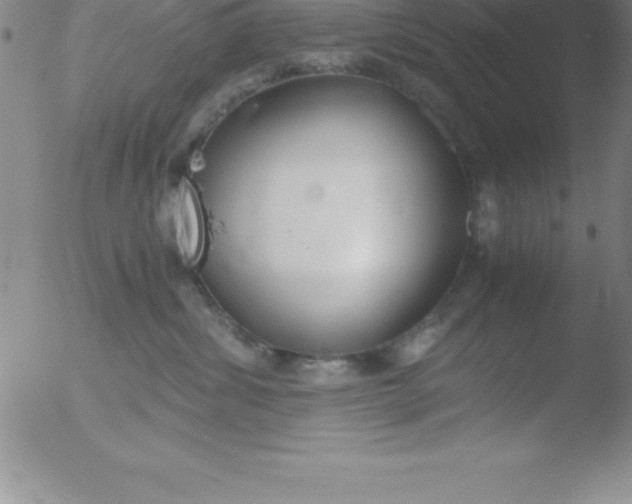 X0000051910428200507082034