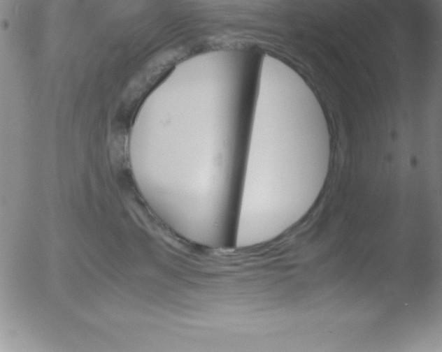 X0000051910429200507082034