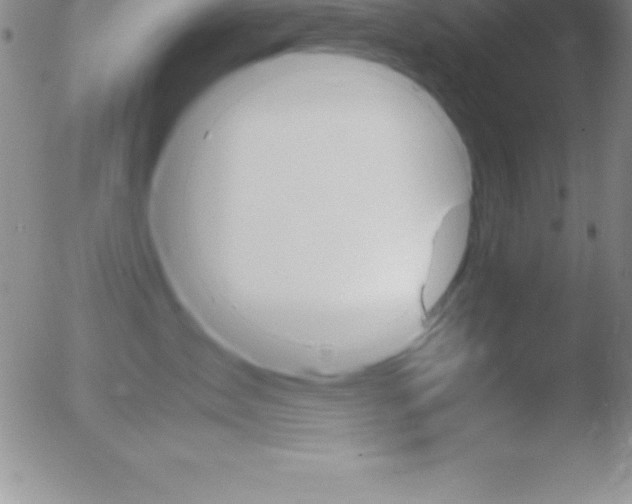 X0000051910431200507082034